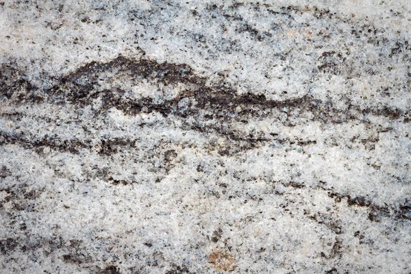 黒の線で灰色の海の石のテクスチャ — ストック写真