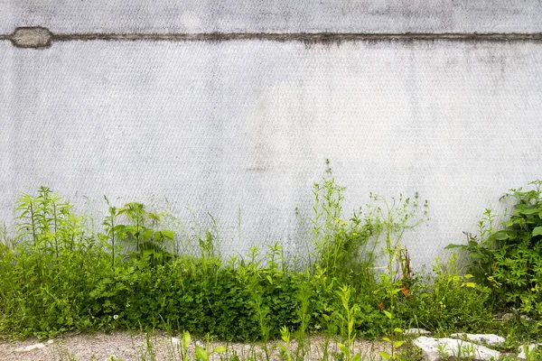 緑の芝生と都市のグランジ灰色のコンクリート壁 緑の草とコンクリートの質感のグランジヴィンテージの背景 — ストック写真