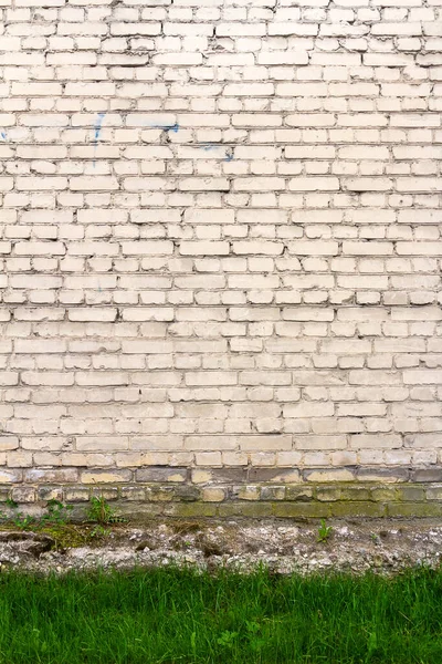 Yeşil Çimenli Beyaz Tuğla Duvar Arkaplanı — Stok fotoğraf