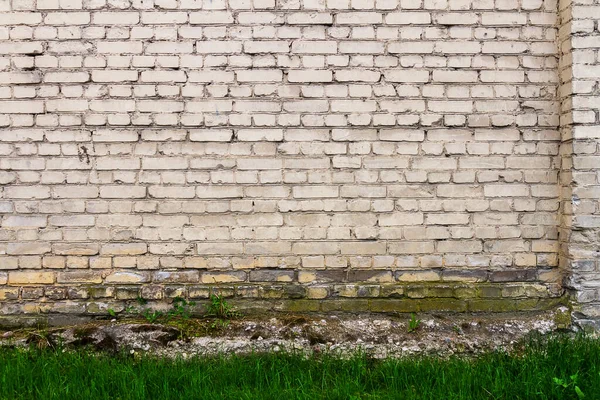 Bílá Cihlová Zeď Pozadí Zelenou Trávou — Stock fotografie