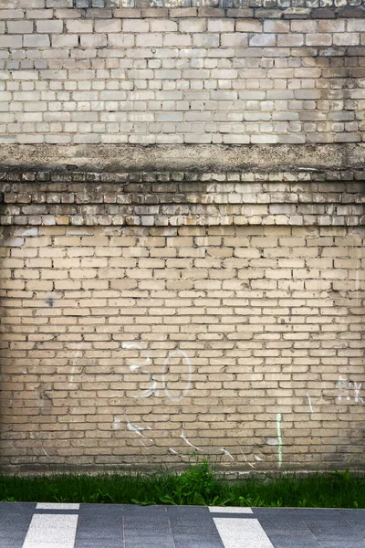 緑の芝生の白いレンガの壁の背景 — ストック写真