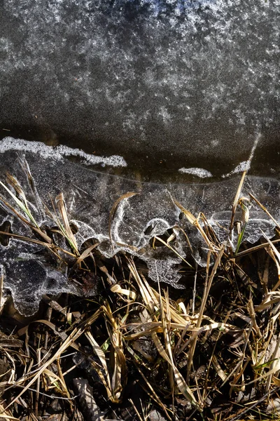 春の地面は解凍雪で覆われていました 乾燥した草の上に氷を溶かす — ストック写真