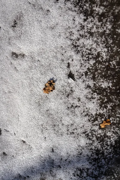Bahar Zemini Eriyen Karla Kaplı Kuru Çimenlerin Üzerinde Eriyen Buz — Stok fotoğraf