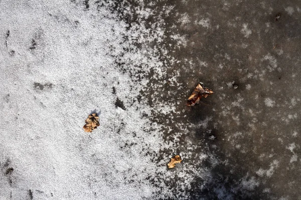 Bahar Zemini Eriyen Karla Kaplı Kuru Çimenlerin Üzerinde Eriyen Buz — Stok fotoğraf