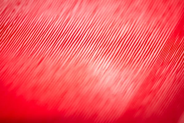 Macro shot of red color vinyl record. Surface of an old vinyl record. Shallow depth of field.
