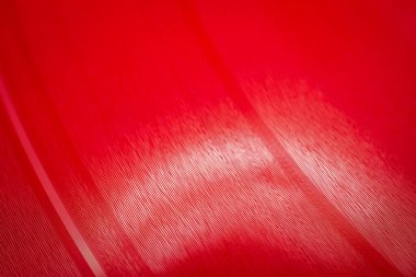 Macro shot of red color vinyl record. Surface of an old vinyl record. Shallow depth of field. clipart