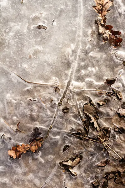 Wiosenna Ziemia Pokryta Topniejącym Śniegiem Topniejący Lód Suchej Trawie — Zdjęcie stockowe
