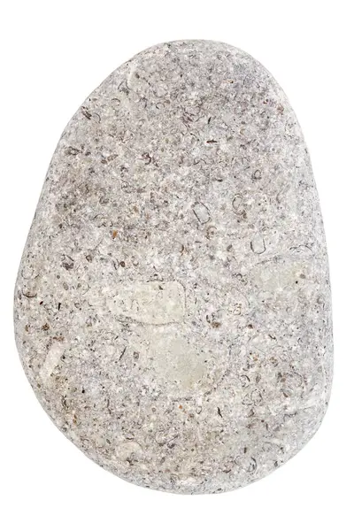 白色背景上孤立的单个灰白色鹅卵石的顶部视图 — 图库照片