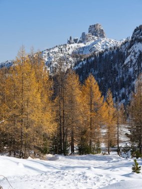 Cortina d 'Ampezzo, Veneto, İtalya, Avrupa' daki 5 Torri 'nin manzarası, sonbaharda güneşli bir günde yeşilliklerin rengiyle birlikte. Karakteristik tepeleri, ağaçlık alanları ve gölleri olan zincir, yürüyüş, kar ayakkabısı, yürüyüş ve bisiklet için popüler bir durak..