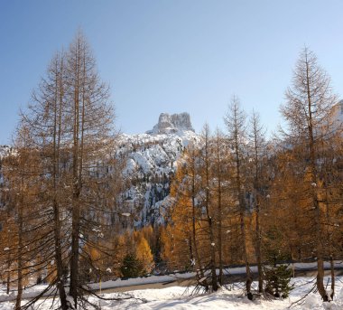 Cortina d 'Ampezzo, Veneto, İtalya, Avrupa' daki 5 Torri 'nin manzarası, sonbaharda güneşli bir günde yeşilliklerin rengiyle birlikte. Karakteristik tepeleri, ağaçlık alanları ve gölleri olan zincir, yürüyüş, kar ayakkabısı, yürüyüş ve bisiklet için popüler bir durak..