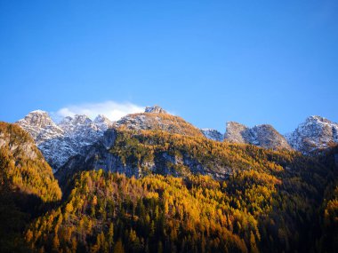 Dolomitlerin, Veneto 'nun, İtalya' nın ve Avrupa 'nın sonbahar renkleriyle dolu bir günün panoramik manzarası. Arka planda Monte Civetta, kayakçılar, yürüyüşçüler ve kar ayakkabıları için popüler bir yer.