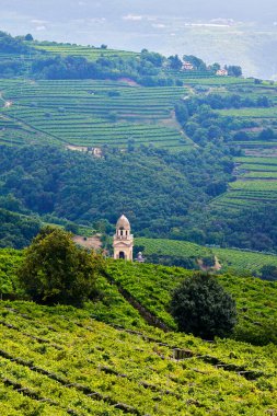 Marano di Valpolicella kilisesinin çan kulesi üzüm bağları arasında. Çevresindeki manzara ağaçlar, dağlar, çimenler ve bir kilise kulesini içerir. Dağlık bir arazisi olan kırsal bir bölgede yer almaktadır..
