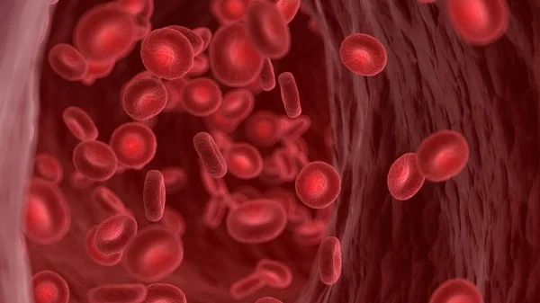 Rote Blutkörperchen Einer Menschlichen Arterie Abbildung — Stockfoto