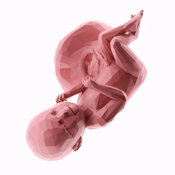 38週目の人間の胎児 抽象的なイラスト — ストック写真