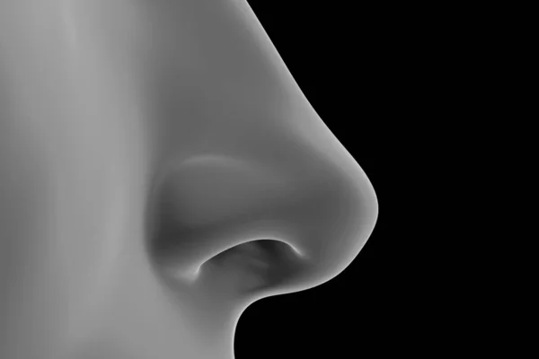 Ženský Nos Černém Pozadí Ilustrace — Stock fotografie