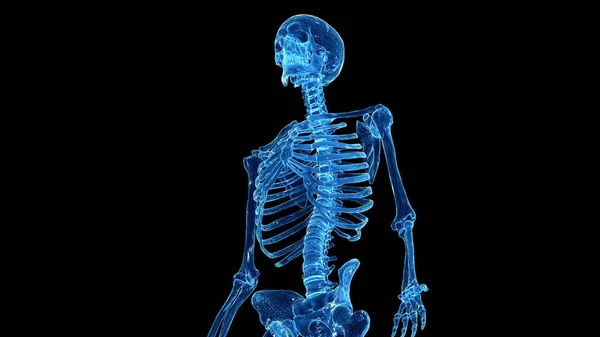 Skeletal Bröstkorg Svart Bakgrund Illustration — Stockfoto