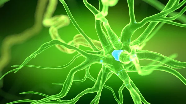 Людська Нервова Клітина Ілюстрація — стокове фото