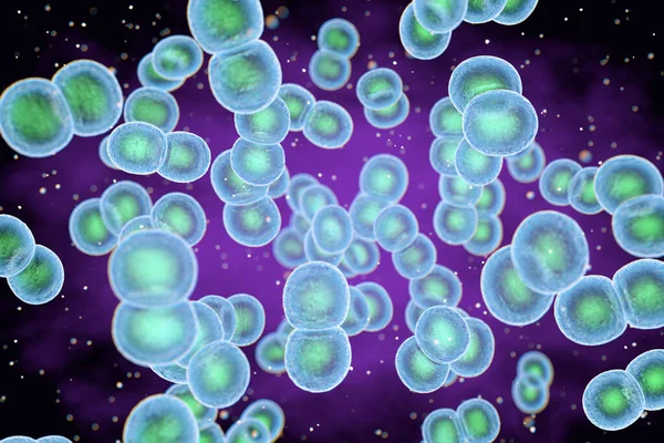 Иллюстрация Бактерий Staphylococcus Epidermidis Стафилококк Эпидермидис Является Частью Нормальной Флоры — стоковое фото