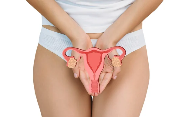 Weibliche Reproduktive Gesundheit Konzeptionelle Illustration — Stockfoto