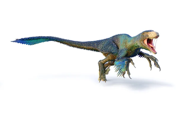 하늘색 깃털을 다코타 라프터 Dakotaraptor 백악기 살았던 공룡이다 깃털을 가지고 — 스톡 사진