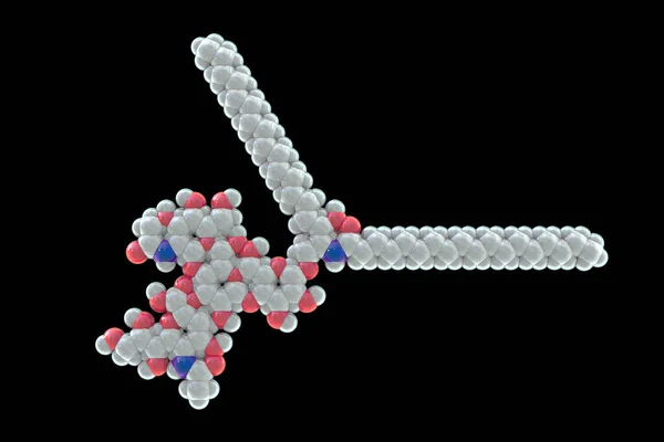 Molekuła Gangliozydu Gm2 Ilustracja Jest Związany Gangliosidawkami Gm2 Takimi Jak — Zdjęcie stockowe