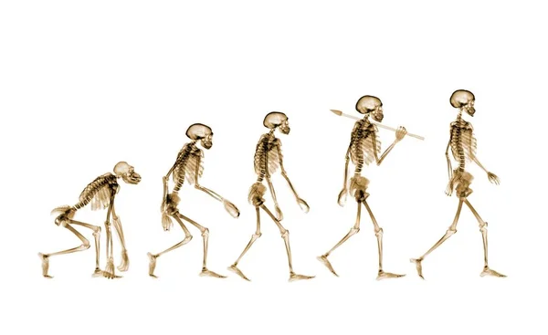 Εξέλιξη Ανθρώπων Εννοιολογική Απεικόνιση — Φωτογραφία Αρχείου