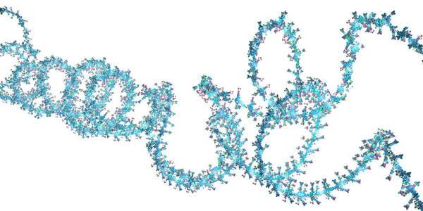 Ribonucleic Acid Chain Illustration — Stock Photo, Image