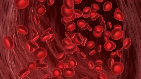Bir Insan Atardamarındaki Kırmızı Kan Hücreleri Çizim — Stok fotoğraf