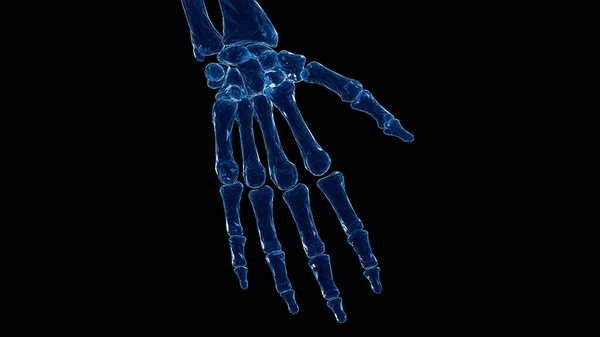 Kézcsontok Fekete Háttér Illusztráció — Stock Fotó