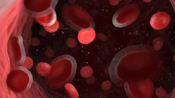 人間の動脈の赤血球図 — ストック写真