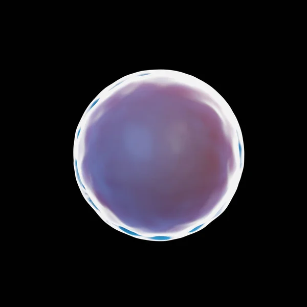 受精卵細胞イラスト — ストック写真