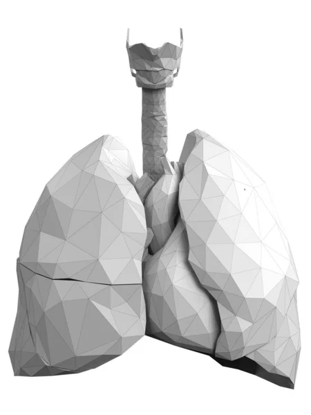 Serce Płuca Ilustracja Abstrakcyjna — Zdjęcie stockowe
