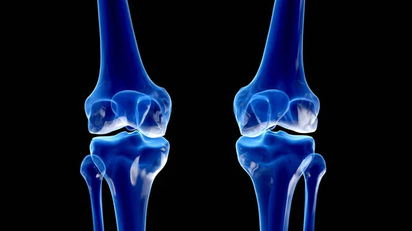 Knee Joints Black Background Illustration — Stock Photo, Image