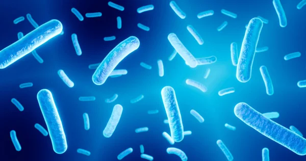 Illustration Grampositiver Lactobacillus Bakterien — Stockfoto