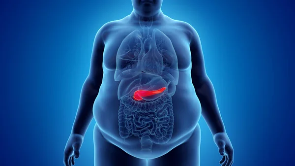 Pâncreas Homem Obeso Ilustração — Fotografia de Stock