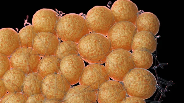 Λίπος Κύτταρα Αφηρημένη Απεικόνιση — Φωτογραφία Αρχείου