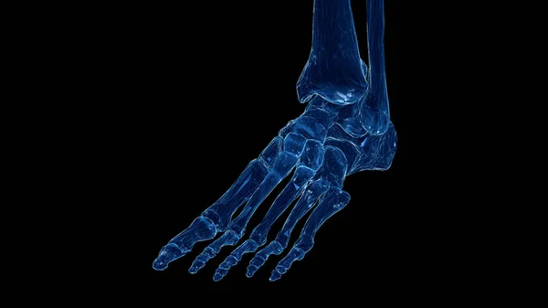 Σκελετικό Πόδι Μαύρο Φόντο Εικονογράφηση — Φωτογραφία Αρχείου