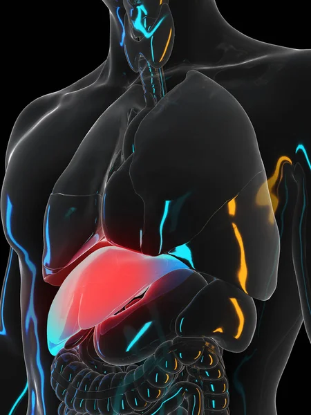 黒の背景に痛みを伴う肝臓 イラスト — ストック写真