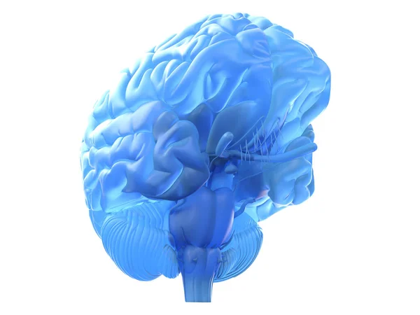 Ilustracja Niebieskiego Mózgu — Zdjęcie stockowe