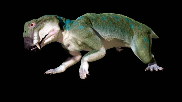 리트로 사우루스 도마뱀 페름기는 공룡은 아니지만 이전에 살았으며 페름기 후기와 — 스톡 사진