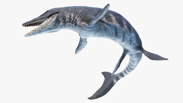 Tylosaurus Elszigetelt Fehér Háttér Illusztráció — Stock Fotó