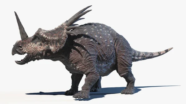 Styracosaurus Isolato Sfondo Bianco Illustrazione — Foto Stock