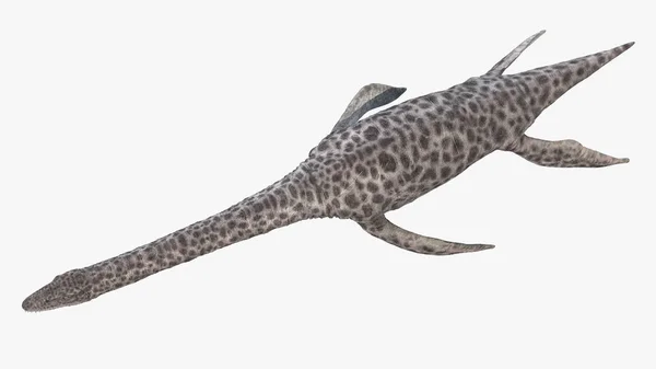Plesiosaurus Geïsoleerd Witte Achtergrond Illustratie — Stockfoto