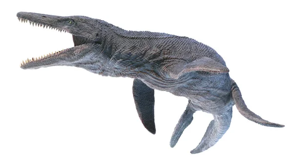 Kronosaurus Isolerad Vit Bakgrund Illustration — Stockfoto