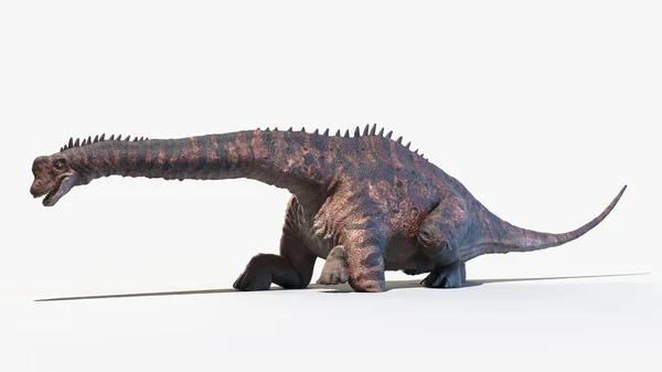 Europasaurus Elszigetelt Fehér Háttér Illusztráció — Stock Fotó