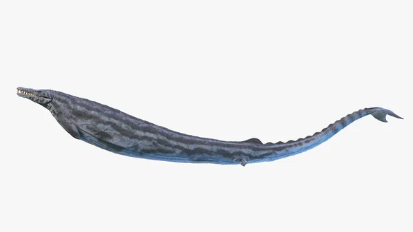 Bazilosaurus Izolovaný Bílém Pozadí Ilustrace — Stock fotografie