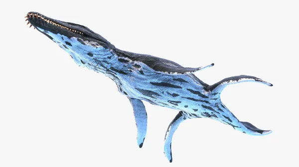 Liopleurodon Isolerad Vit Bakgrund Illustration — Stockfoto