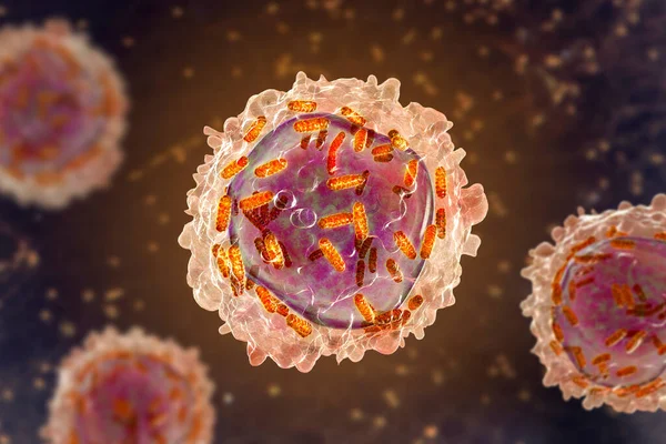 Leukemia Valkosolujen Mitokondrioita Tietokoneen Kuva Mitokondrioiden Metabolia Mahdollinen Terapeuttinen Kohde — kuvapankkivalokuva