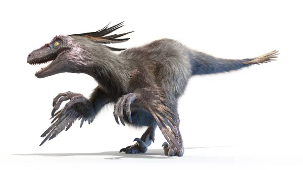 Velociraptor Isoliert Auf Weißem Hintergrund Illustration — Stockfoto