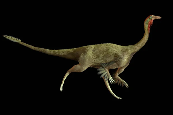 Oeuvre Dinosaure Struthiomimus Cet Animal Éteint Ressemblant Une Autruche Vivait — Photo